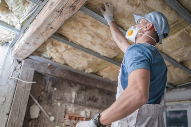 Best Energy-efficient Insulation  in Derwood, MD